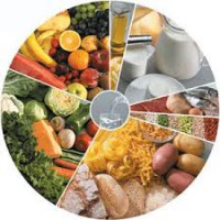 /album/galeria-de-fotos/roda-dos-alimentos-1-jpg/